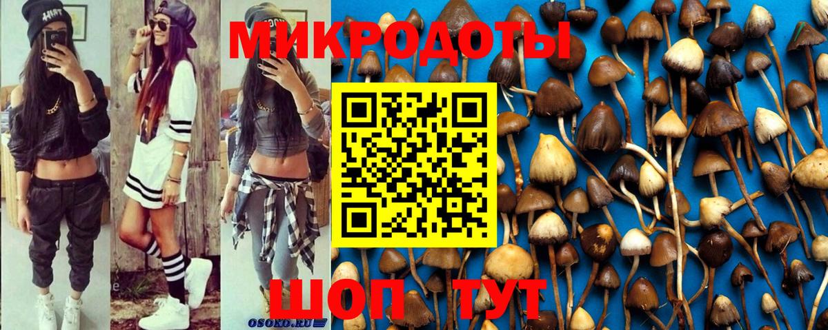 Псилоцибиновые грибы Psilocybine cubensis Кстово