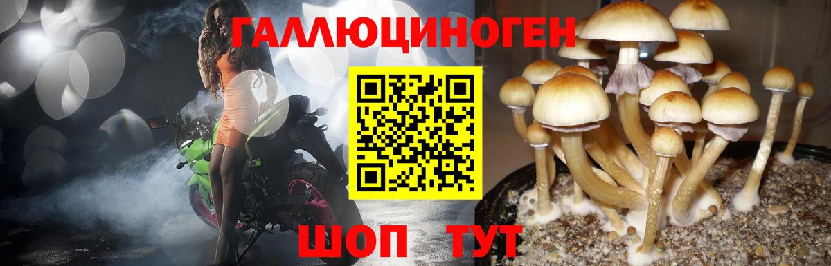 Галлюциногенные грибы Psilocybine cubensis  Вход с VPN  Кстово 